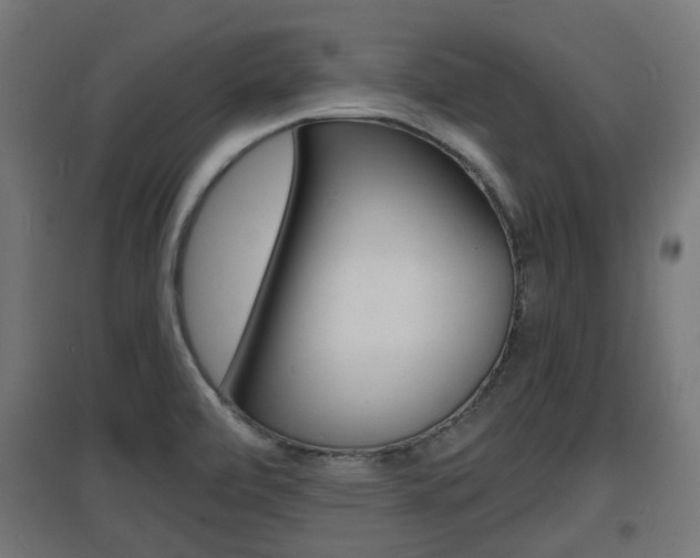 X0000097621472200802290809