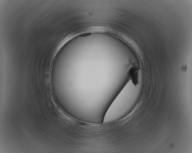 X0000097621473200802290809