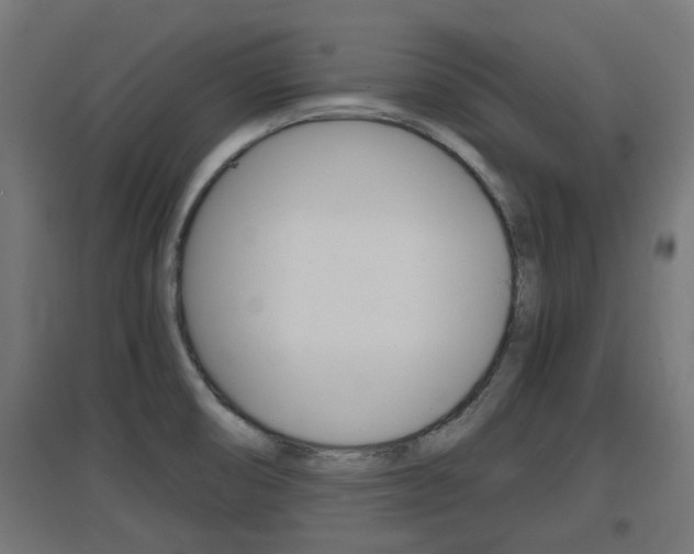 X0000097621474200802290809