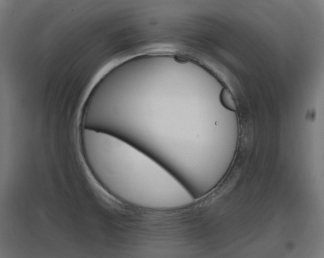 X0000097621475200802290809