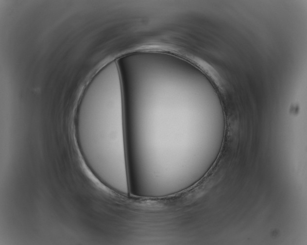 X0000097621476200802290808