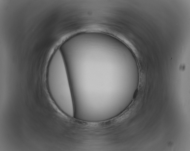 X0000097621477200802290808