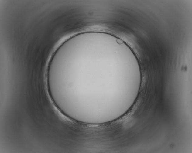 X0000097621478200802290808
