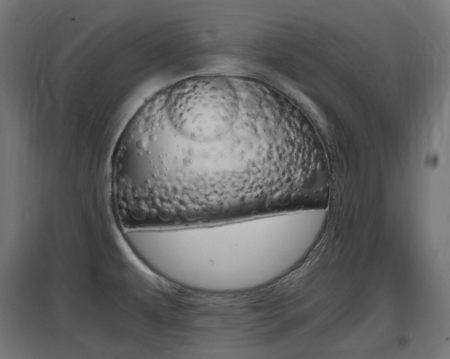 X0000097621479200802290808