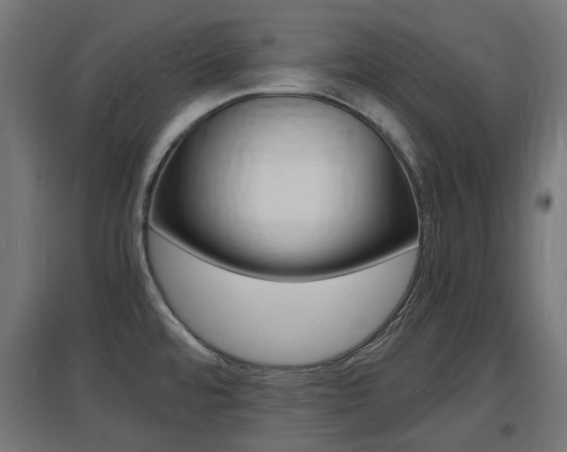 X0000097621480200802290808