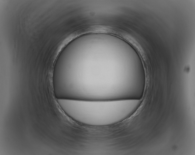 X0000097621481200802290808