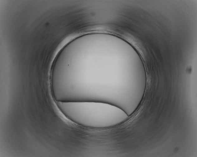X0000097621482200802290808