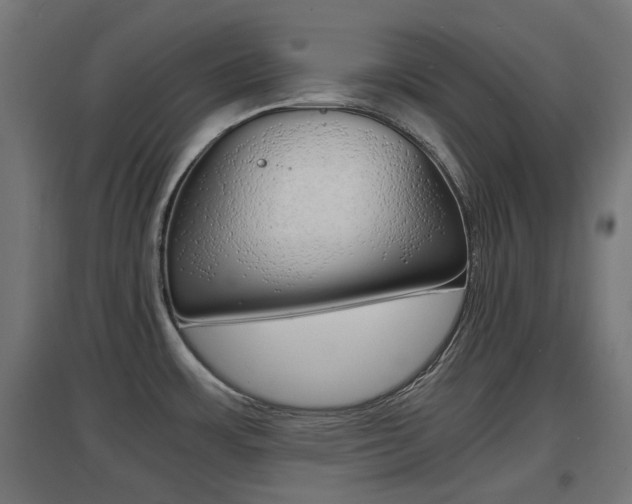 X0000097621483200802290808