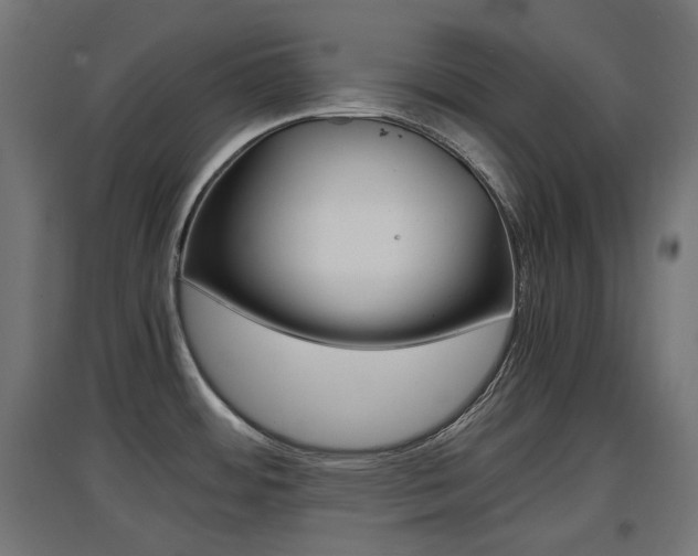 X0000097621484200802290808