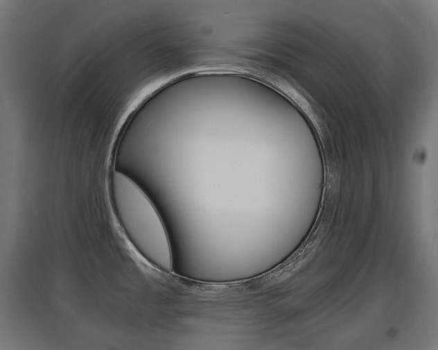 X0000097621485200802290808