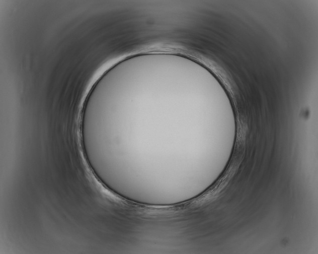 X0000097621486200802290808
