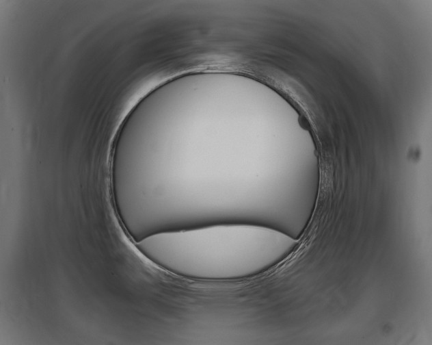 X0000097621487200802290808