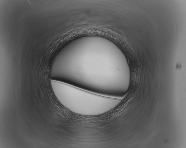 X0000097621490200802290808