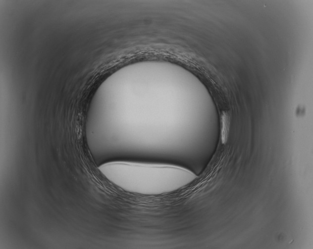 X0000097621491200802290808