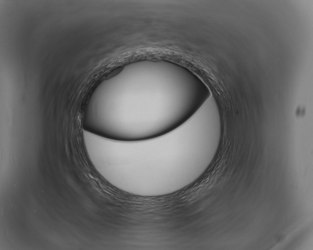 X0000097621492200802290808