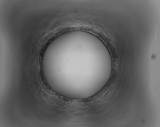 X0000097621493200802290808
