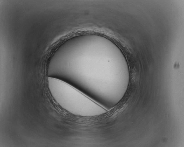 X0000097621494200802290808