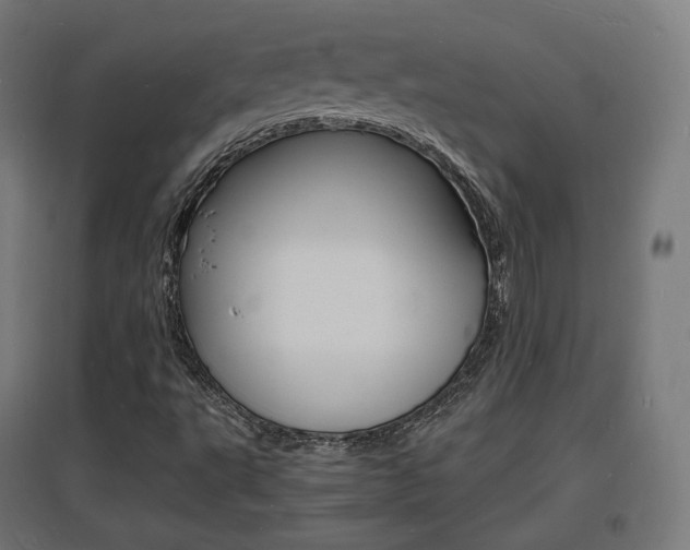 X0000097621495200802290808