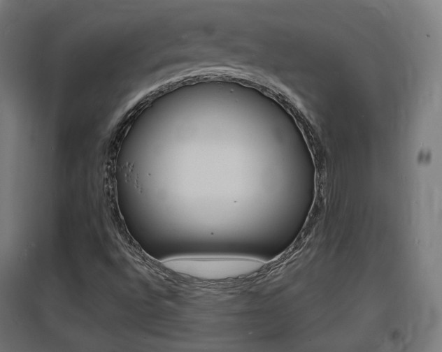 X0000097621496200802290808