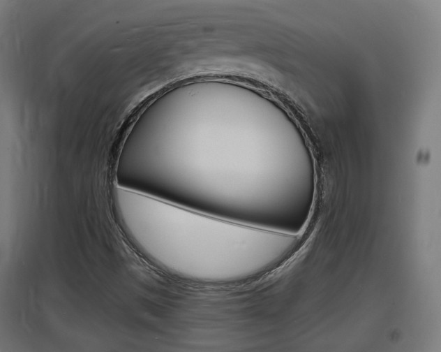 X0000097621497200802290808
