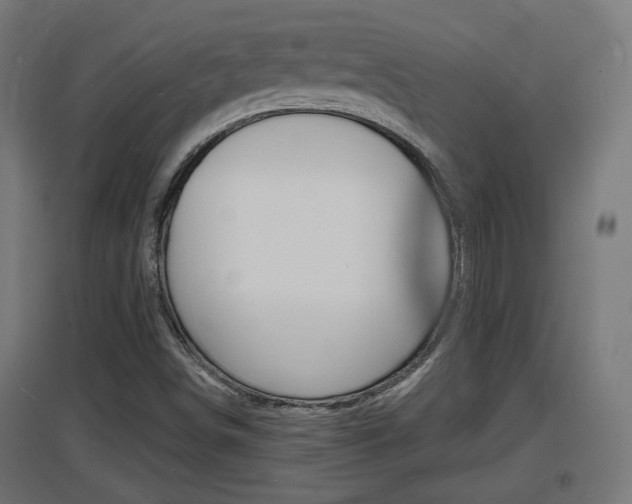 X0000097621498200802290808