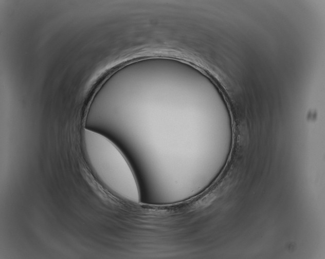 X0000097621499200802290808