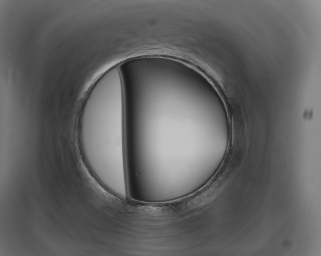 X0000097621500200802290808