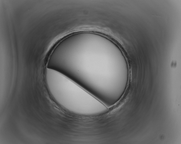 X0000097621501200802290808