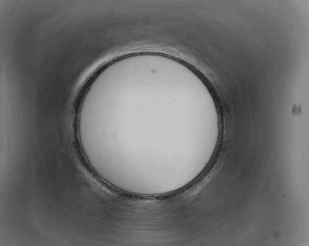 X0000097621502200802290808