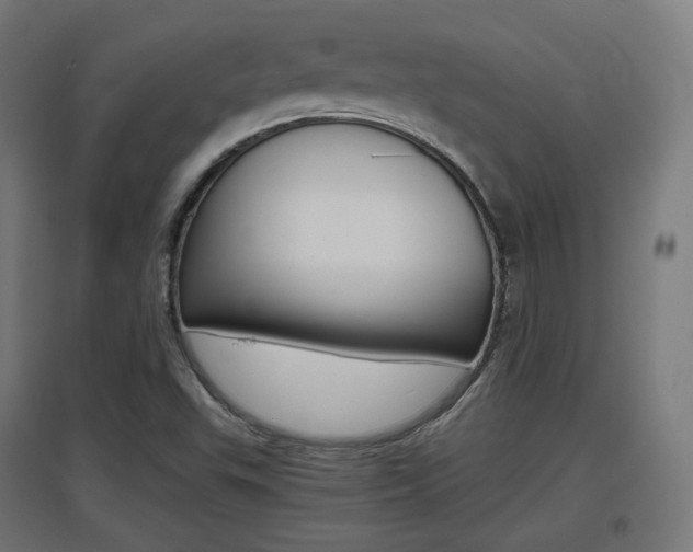 X0000097621503200802290808