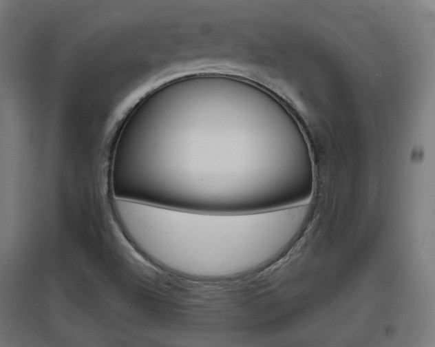 X0000097621504200802290808