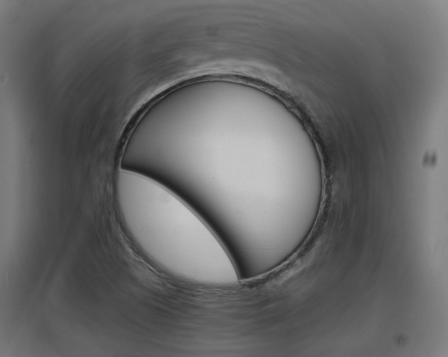 X0000097621505200802290808