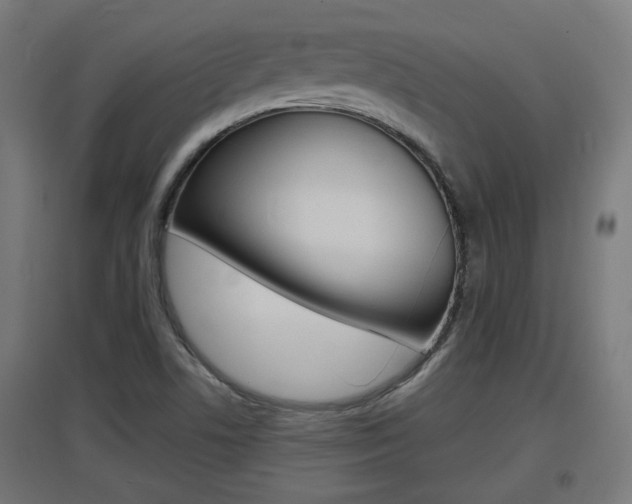 X0000097621506200802290808