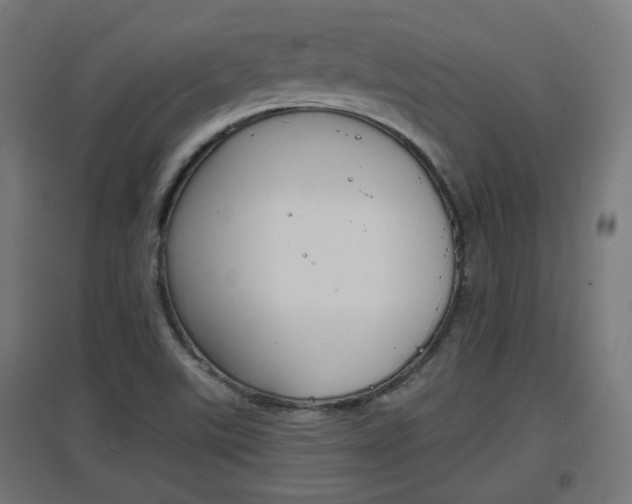 X0000097621507200802290808