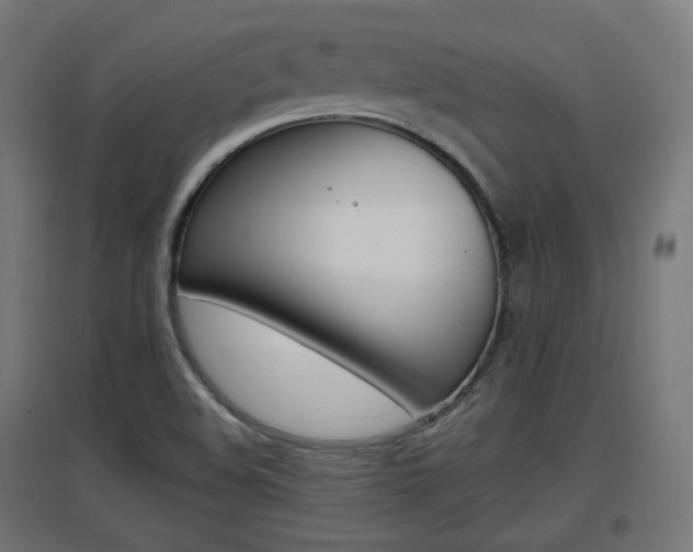 X0000097621508200802290808