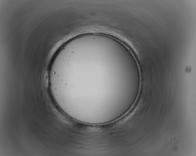 X0000097621509200802290808