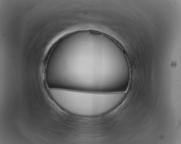 X0000097621510200802290808