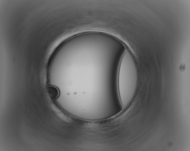 X0000097621511200802290808