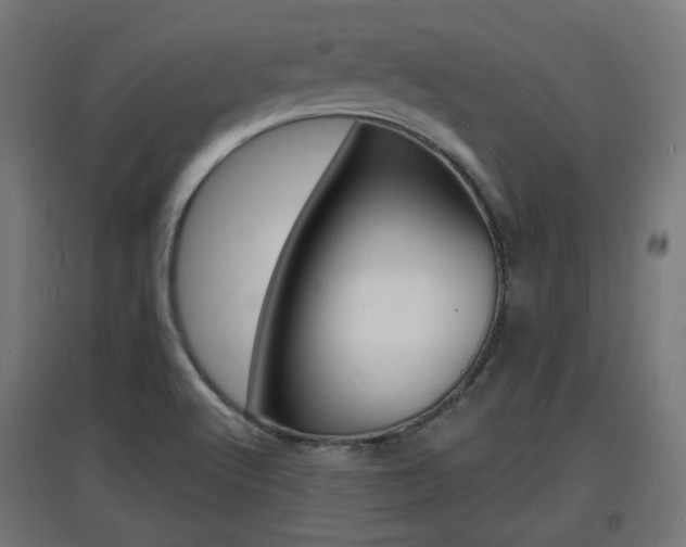 X0000097621512200802290808