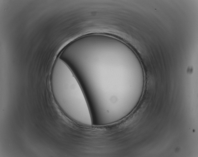X0000097621513200802290808