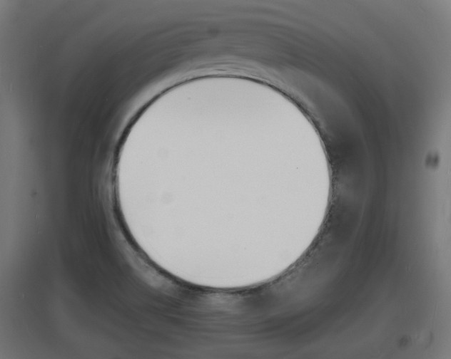 X0000097621514200802290808
