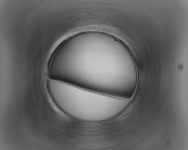X0000097621515200802290808