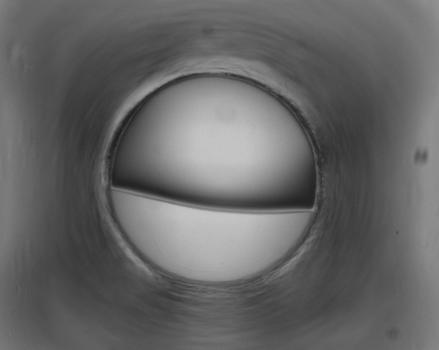 X0000097621517200802290808