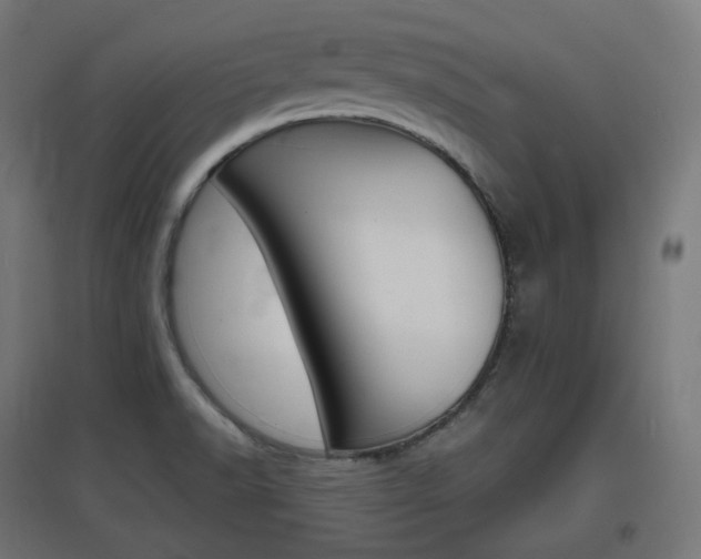 X0000097621518200802290808