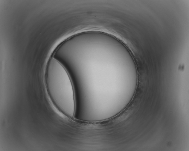X0000097621519200802290808