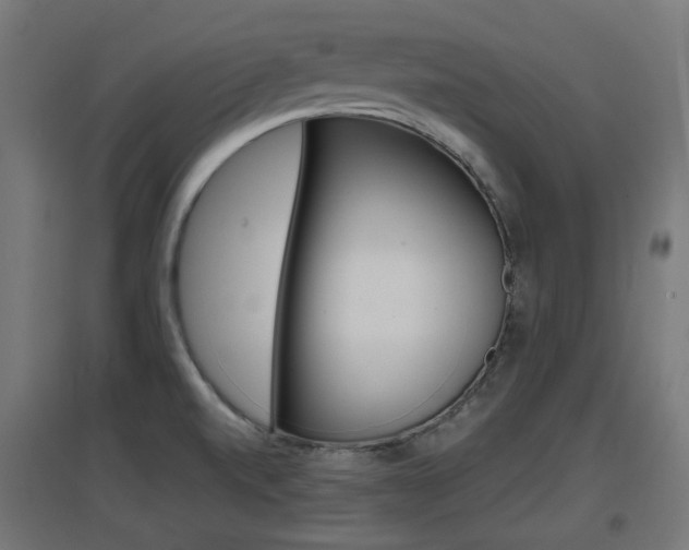 X0000097621520200802290808