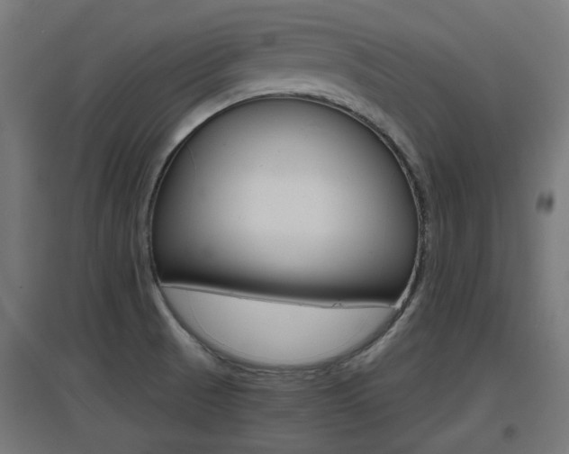 X0000097621521200802290808
