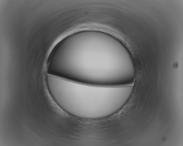 X0000097621522200802290808