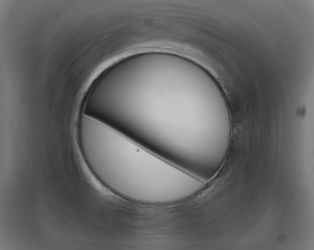 X0000097621523200802290808