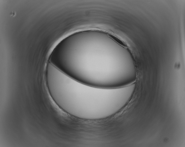 X0000097621524200802290808